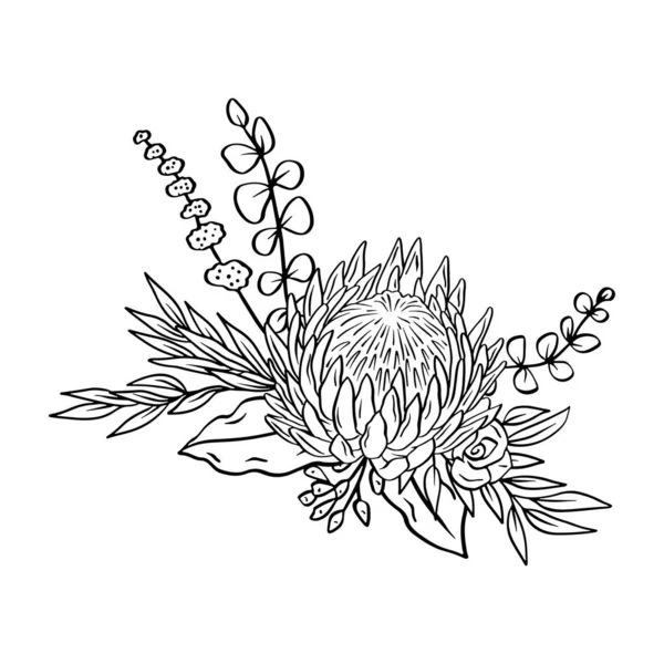 Monochrome Tropical Protea Flowers Leaves Bouquet Boho Floral Composition — Stock Vector