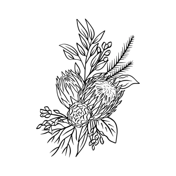 Monochromatyczne Tropikalne Protea Kwiaty Pozostawia Bukiet Boho Kompozycja Kwiatowa — Wektor stockowy