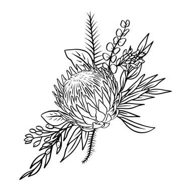 Tek renkli tropik protea çiçekleri ve yapraklar. Boho çiçek kompozisyonu