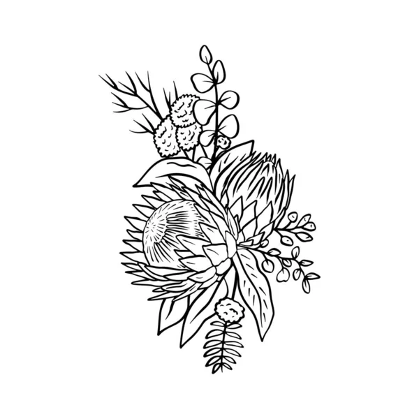 Monochromatyczne Tropikalne Protea Kwiaty Pozostawia Bukiet Boho Kompozycja Kwiatowa — Wektor stockowy