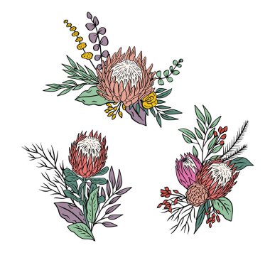 Renkli tropikal protea çiçekleri ve çiçek demetleri. Boho çiçek kompozisyonu