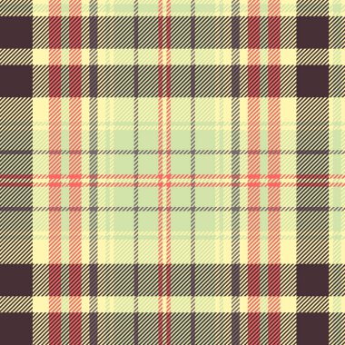 Dokuma dokusuyla kusursuz, kareli geometrik desen. Renkli ekose arkaplan