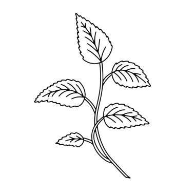 Beyaz arka planda tek renkli siyah-beyaz çini çiçekli yaprak. Soyut el çizimi botanik klipsi sanat öğesi.