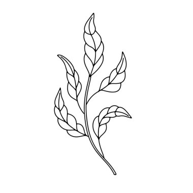 Beyaz arka planda tek renkli siyah-beyaz çini çiçekli yaprak. Soyut el çizimi botanik klipsi sanat öğesi.