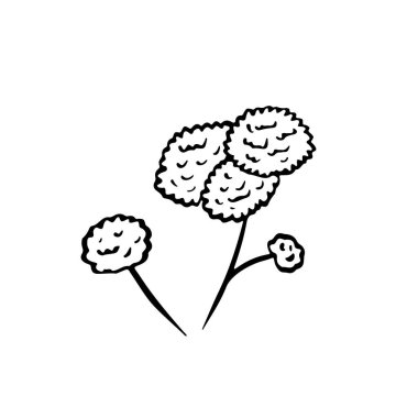 Beyaz arkaplanda izole edilmiş soyut siyah çizgi sanat çiçekleri.