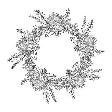 El çizimi tek renkli sanat eseri tropikal protea çiçeği yuvarlak çerçeve. Çiçek çelengi tebrik kartı şablonu