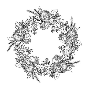 El çizimi tek renkli sanat eseri tropikal protea çiçeği yuvarlak çerçeve. Çiçek çelengi tebrik kartı şablonu