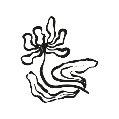 Mürekkep fırçası, soyut çiçek çizimi beyaza izole edilmiş. Karalama çiçeğinin siyah silueti