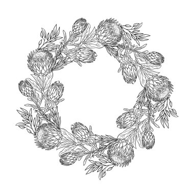 El çizimi tek renkli sanat eseri tropikal protea çiçeği yuvarlak çerçeve. Çiçek çelengi tebrik kartı şablonu