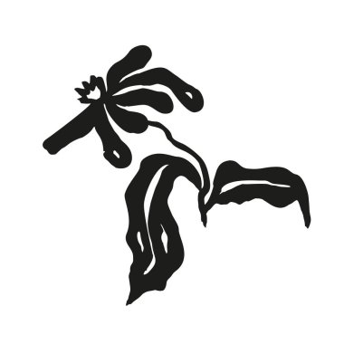 Mürekkep fırçası, soyut çiçek çizimi beyaza izole edilmiş. Karalama çiçeğinin siyah silueti