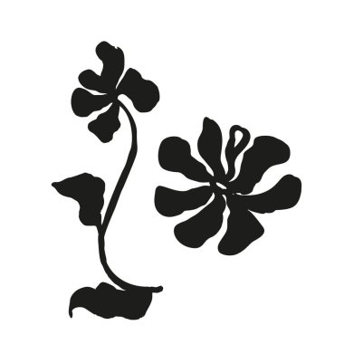 Mürekkep fırçası, soyut çiçek çizimi beyaza izole edilmiş. Karalama çiçeğinin siyah silueti