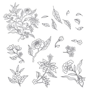 Set of monochrome black and white floral chinoiserie or indian style flowers set isolated on white background. Abstract hand drawn botanical clip art elements bundle.