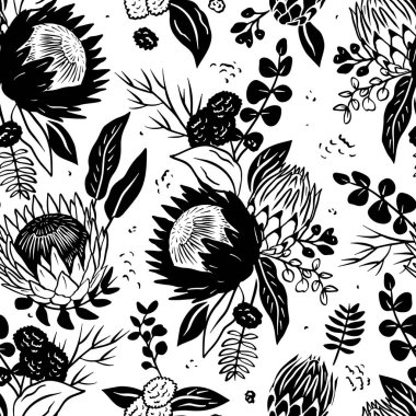 Beyaz arka planda çizgi çizgisi olan siyah beyaz desenli protea çiçekleri. Tek renkli tropikal çiçek duvar kağıdı..