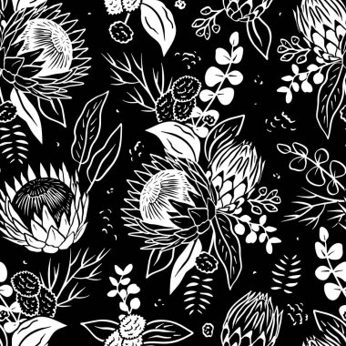 Siyah ve beyaz desenli siyah arka planda çizgi çizgisi olan protea çiçekleri. Tek renkli tropikal çiçek arkaplanı.