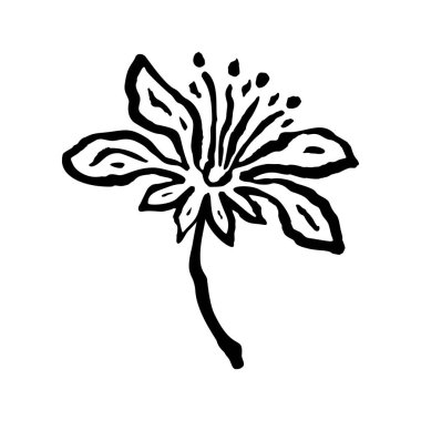 Beyaz üzerine izole edilmiş mürekkep rengi soyut çiçek çizimi. Siyah çizgili minimalist karalama çiçeği sanatı. El çizimi botanik çizimi