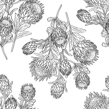 Siyah beyaz desenli, çizgili, protea çiçekli. Tek renkli tropikal çiçek arkaplanı.