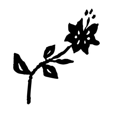 Beyaz üzerine izole edilmiş mürekkep rengi soyut çiçek çizimi. Minimalist karalama çiçeklerinin siyah silueti. El çizimi botanik çizimi