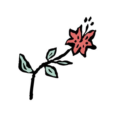 Beyaz üzerine izole edilmiş mürekkep rengi soyut çiçek çizimi. Siyah çizgili minimalist karalama çiçeği sanatı. El çizimi botanik çizimi