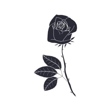 Beyaz arka planda izole edilmiş gül çiçeğinin siyah silueti. El çizimi çiçek deseni tasarımı