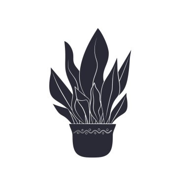 Saksı bitkisinin siyah silüeti aspidistra. Tropik bitki monokrom elle çizilmiş tasarım