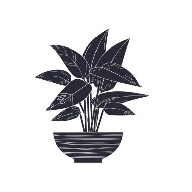 Saksı bitkisinin siyah linocut silueti. Tropik bitki monokrom elle çizilmiş tasarım