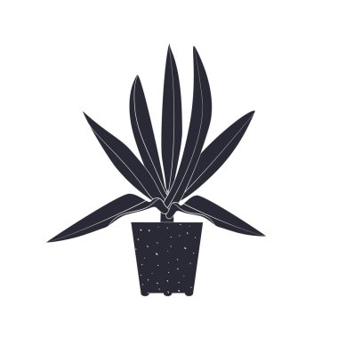 Saksı çiçekli roeo 'nun siyah linocut silueti. Tropik bitki monokrom elle çizilmiş tasarım