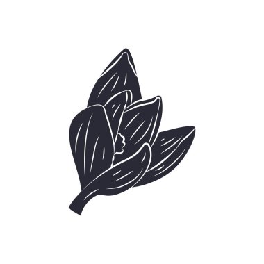 Beyaz arka planda izole edilmiş siyah krokus çiçeği silueti. El çizimi çiçek deseni tasarımı