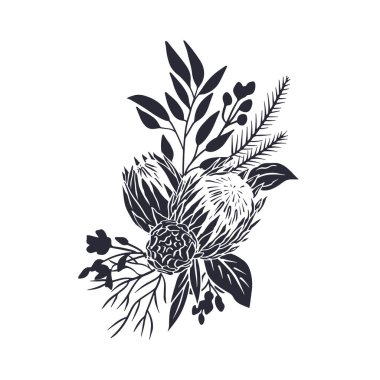 Siyah tropikal protea çiçekleri ve yaprakların silueti. Boho çiçekli monokrom kompozisyonu beyaz arkaplanda izole