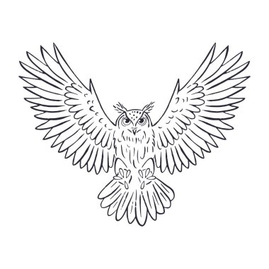 El çizimi siyah beyaz çizgi, beyaz arka planda izole bir şekilde uçan sanat şahini baykuş. Tek renkli gece kuşu vektör illüstrasyonu.