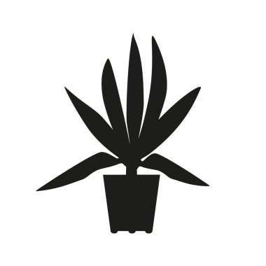 Saksı çiçekli roeo 'nun siyah linocut silueti. Tropik bitki monokrom elle çizilmiş tasarım