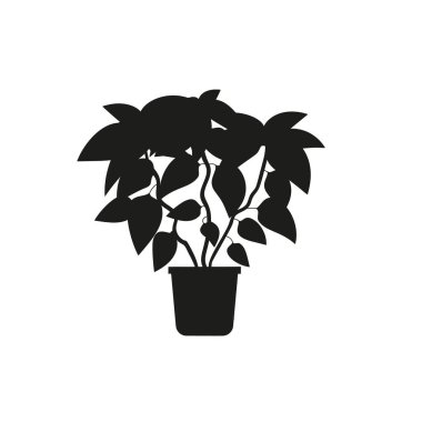 Saksı desenli ev bitkisinin siyah silüeti. Tropik bitki monokrom elle çizilmiş tasarım