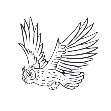 El çizimi siyah beyaz çizgi, beyaz arka planda izole bir şekilde uçan sanat şahini baykuş. Tek renkli gece kuşu vektör illüstrasyonu.