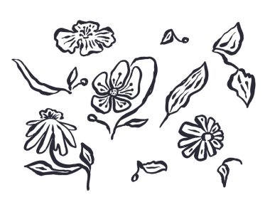 Siyah, soyut mürekkep çiçekleri ve beyaza izole edilmiş yapraklar. Tek renkli kabataslak desenli gevşek çiçekli karalamalar..