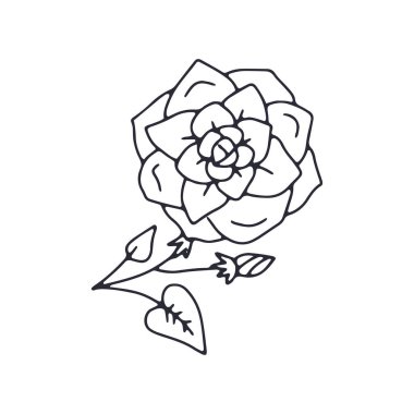 El çizimi siyah ve beyaz çizilmiş karalama gül çiçeği. Basit monokrom çiçekli çizim. Soyut botanik ögesi.