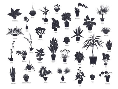 Set of black silhouettes of potted houseplants isolated on white background. Tropical plants monochrome hand drawn designs bundle clipart