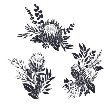 Siyah tropikal protea çiçekleri ve yaprakların siluetleri. Boho çiçekli tek renkli kompozisyonlar beyaz arkaplanda izole edilmiş