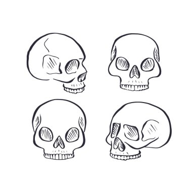 Beyaz arka planda izole edilmiş siyah beyaz insan kafatasları. Doodle iskelet kafa dövme tasarımı