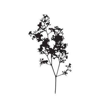 Pürüzlü kenarlar kurumuş çiçek silueti. Boho minimalist yabani çiçek pulu. Siyah botanik kırsal element beyaz arkaplanda izole edildi.