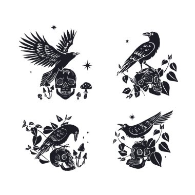 Beyaz arka planda izole edilmiş insan kafatası siluetleri üzerinde oturan el çizimi tek renkli mürekkep stili kuzgun ya da kargalar. Isırgan otu yapraklarıyla çevrili mistik siyah kuş ve kafa kemiği Cadılar Bayramı tasarımı