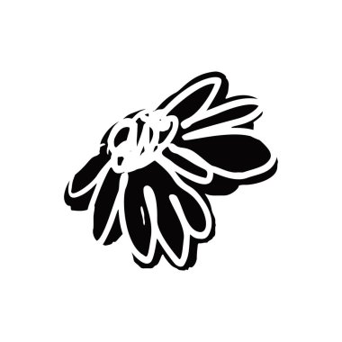 El çizimi siyah mürekkep soyut papatya çiçeği silueti beyaz arka planda izole edilmiş. Tek renkli karalama stili çiçek açar. Sketchy Minimalist Çiçek Tasarımı.