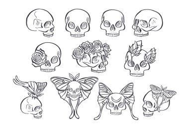 Beyaz arka planda izole edilmiş gül çelenkleri ve kelebeklerle el çizimi siyah insan kafatası. Çiçek desenli tek renkli iskelet başlıklar.