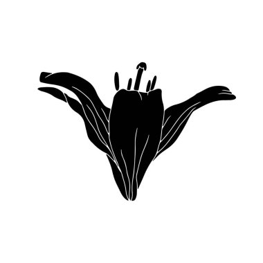Lily Bloom Linocut 'un el çizimi siyah silueti. Tek renkli doğum ayı mayıs çiçeği. Botanik vektör çizimi beyaza izole edildi.