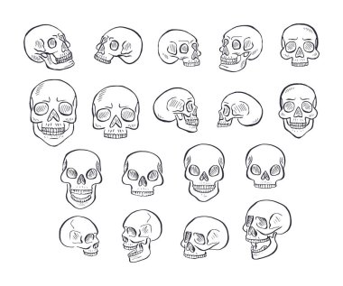 Beyaz arka planda izole edilmiş siyah beyaz çizgili insan kafatasları. Tek renkli iskelet baş demeti dizayn eder