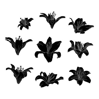 El çizimi siyah siluet, zambak çiçeği linocuts seti. Tek renkli doğum ayı mayıs çiçekleri demeti. Botanik vektör illüstrasyon koleksiyonu beyaza izole edildi.