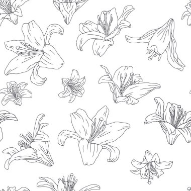 Siyah beyaz çizgili, dikdörtgen desenli, el yapımı zambak çiçeği desenli. Doğrusal boho çiçekli yineleme arka planı. Vektör illüstrasyonu