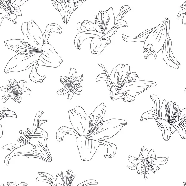 Siyah beyaz çizgili, dikdörtgen desenli, el yapımı zambak çiçeği desenli. Doğrusal boho çiçekli yineleme arka planı. Vektör illüstrasyonu