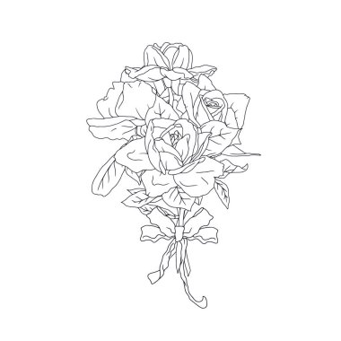 Beyaz arka planda izole edilmiş, el çizimi siyah beyaz çizgili gül çiçeği buketi. Klasik tek renkli romantik botanik vektör çizimi