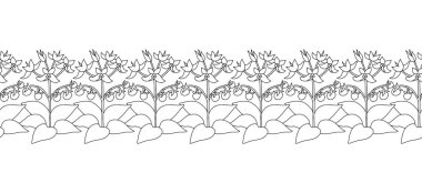 Siyah beyaz çizgili çizgili kanarya adaları çiçekleri Tenerife itüzümü. Çiçeksel, dikdörtgen kenarlı, tek renkli el çizilmiş millefleur tarzı botanik. Vektör illüstrasyonu