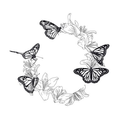 El, siyah ve beyaz kral kelebeği ve zambak çiçekleri çerçevenin etrafına çizilmiş. Güzel tropikal böcek tebrik kartı tasarımı. Beyaz arkaplanda vektör illüstrasyonu