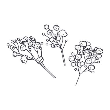 El çizimi siyah çizgi bebek nefesli çiçekler beyaz arka planda izole. Botanik monokrom vektör çizimi